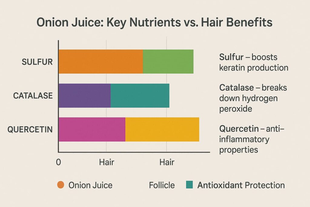 Nutrient Breakdown of Onion Juice